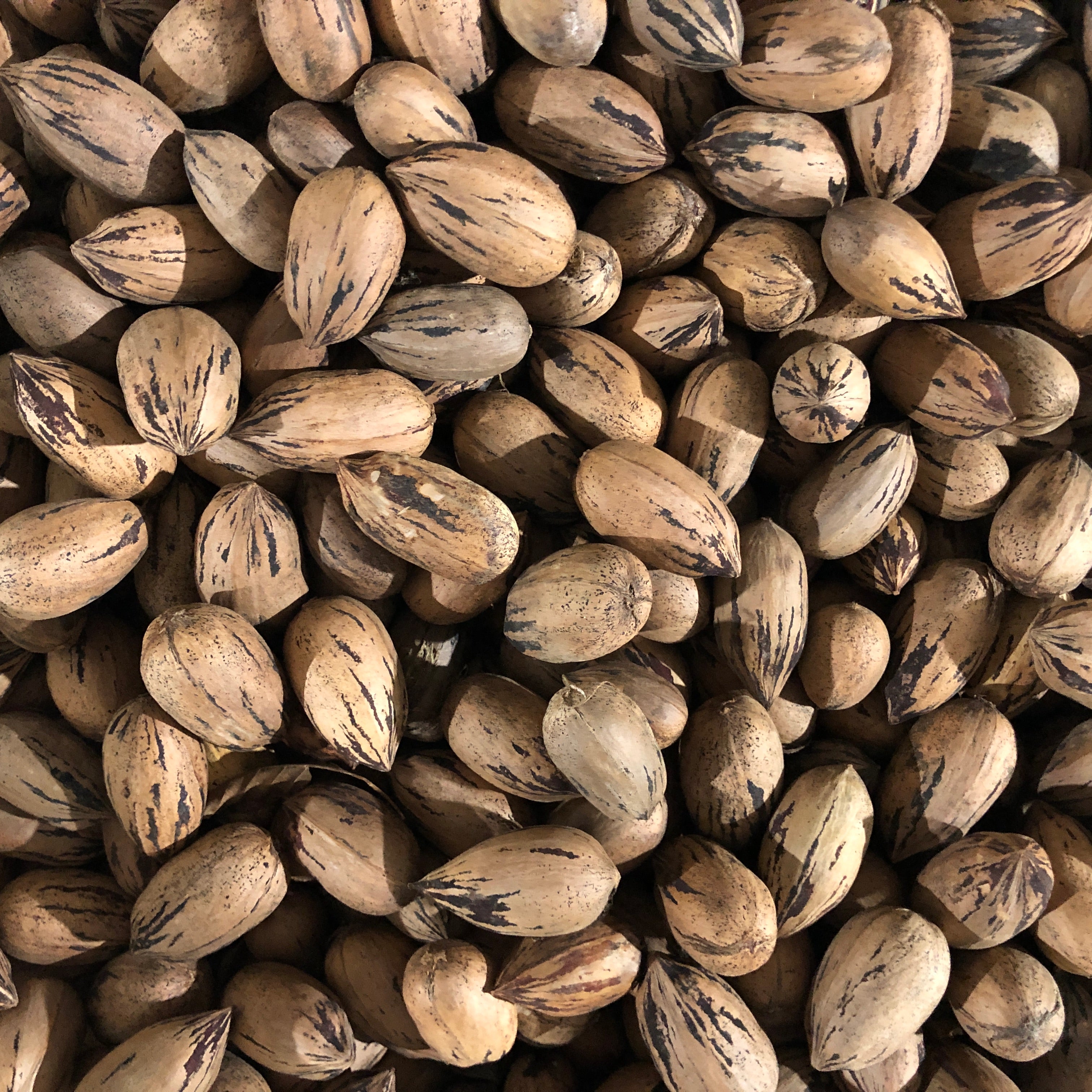 Pecans - Whole, In-Shell